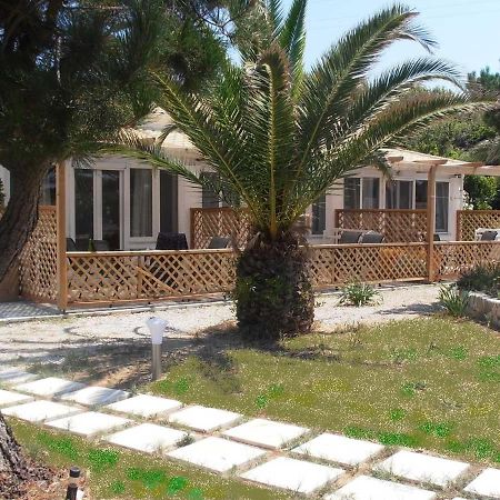 Almiros Beach Elli Beach Apartments And Studios מראה חיצוני תמונה