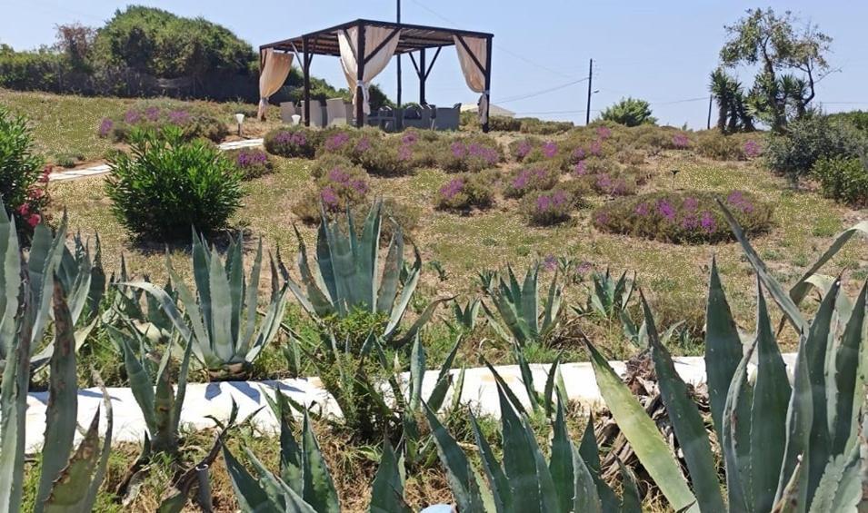 Almiros Beach Elli Beach Apartments And Studios מראה חיצוני תמונה