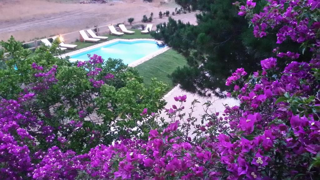 Almiros Beach Elli Beach Apartments And Studios חדר תמונה